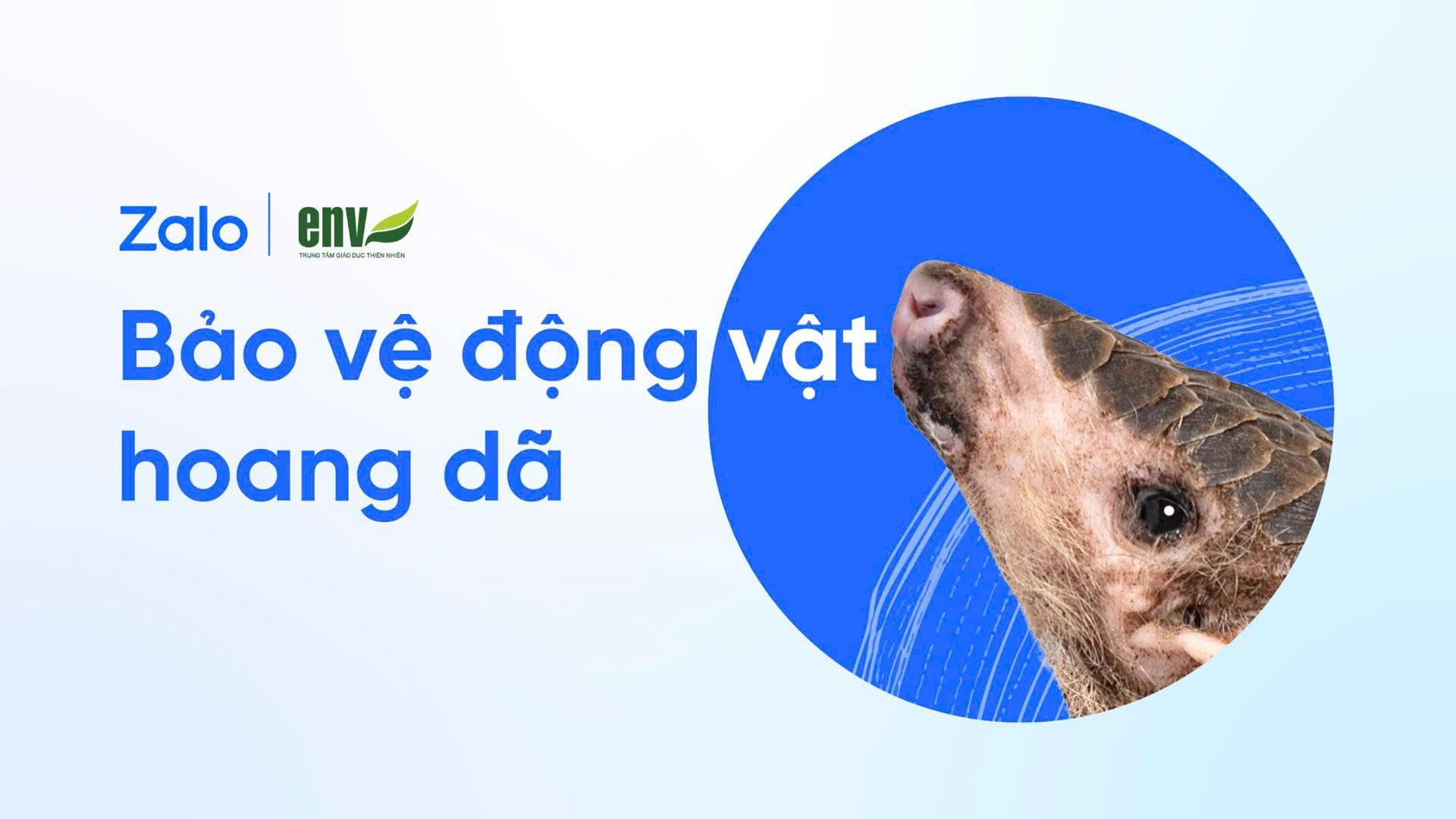 Zalo vừa có thay đổi mới, người dùng cập nhật ngay kẻo mất quyền lợi- Ảnh 3. Zalo vừa có thay đổi mới, người dùng cập nhật ngay kẻo mất quyền lợi- Ảnh 3.