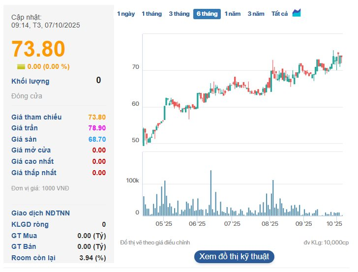 Báo lãi lớn nửa đầu năm, một công ty tạm ứng cổ tức 25% bằng tiền- Ảnh 3. Báo lãi lớn nửa đầu năm, một công ty tạm ứng cổ tức 25% bằng tiền- Ảnh 3.