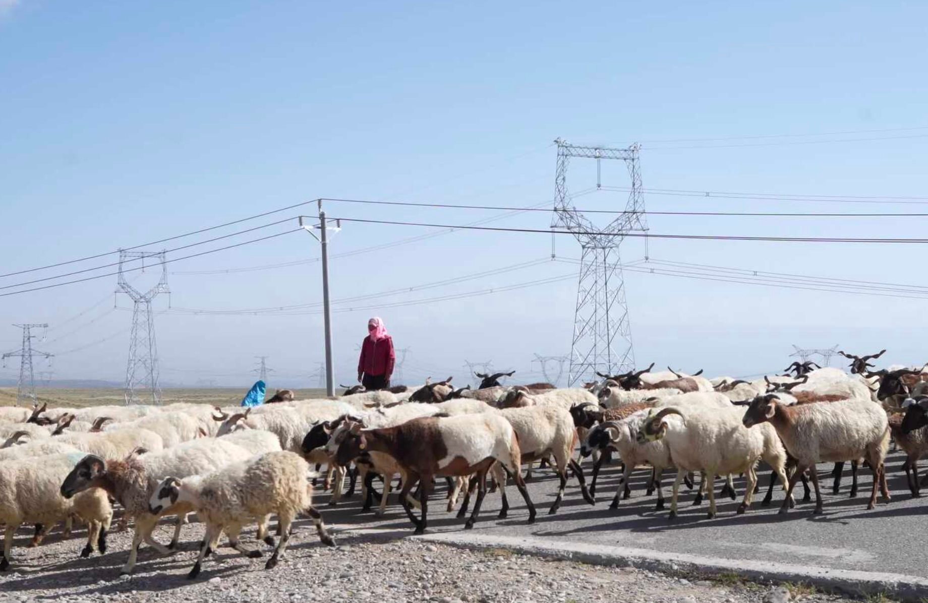 Láng giềng Việt Nam âm thầm đưa 7 triệu tấm 'mặt phẳng' cùng hệ thống 'pin nước' chưa từng có lên nơi cao 3000 mét: Mục đích là gì?- Ảnh 2.