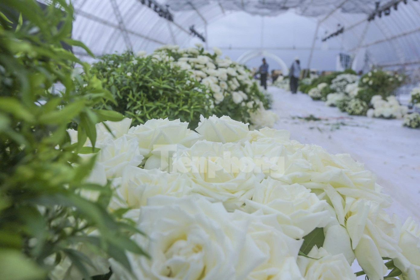 Bên trong rạp cưới mái vòm 3.000 m2 được nhà chồng Đỗ Thị Hà dựng bên bờ sông Nhật Lệ- Ảnh 20. Bên trong rạp cưới mái vòm 3.000 m2 được nhà chồng Đỗ Thị Hà dựng bên bờ sông Nhật Lệ- Ảnh 20.