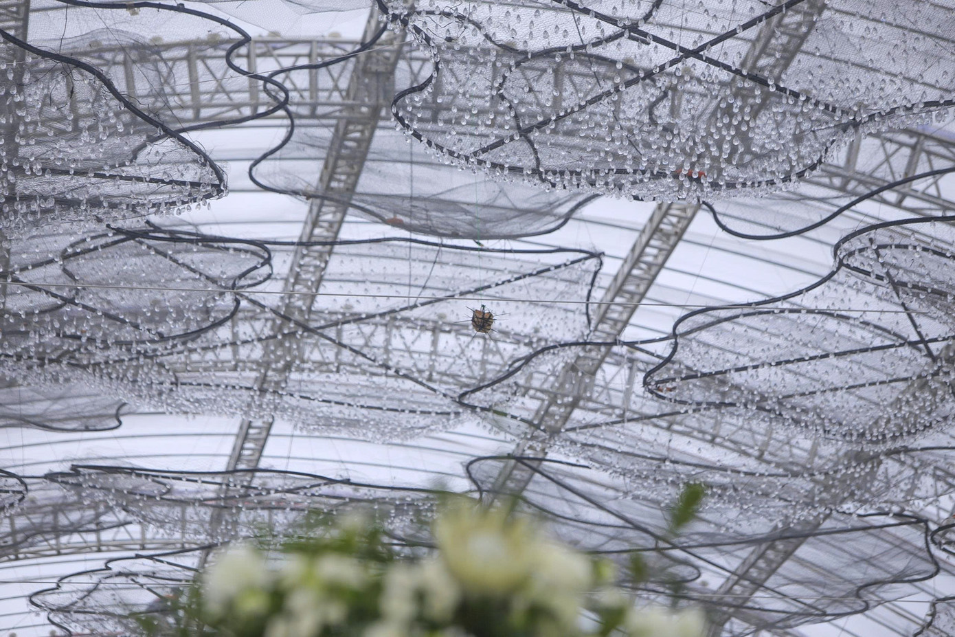 Bên trong rạp cưới mái vòm 3.000 m2 được nhà chồng Đỗ Thị Hà dựng bên bờ sông Nhật Lệ- Ảnh 13. Bên trong rạp cưới mái vòm 3.000 m2 được nhà chồng Đỗ Thị Hà dựng bên bờ sông Nhật Lệ- Ảnh 13.