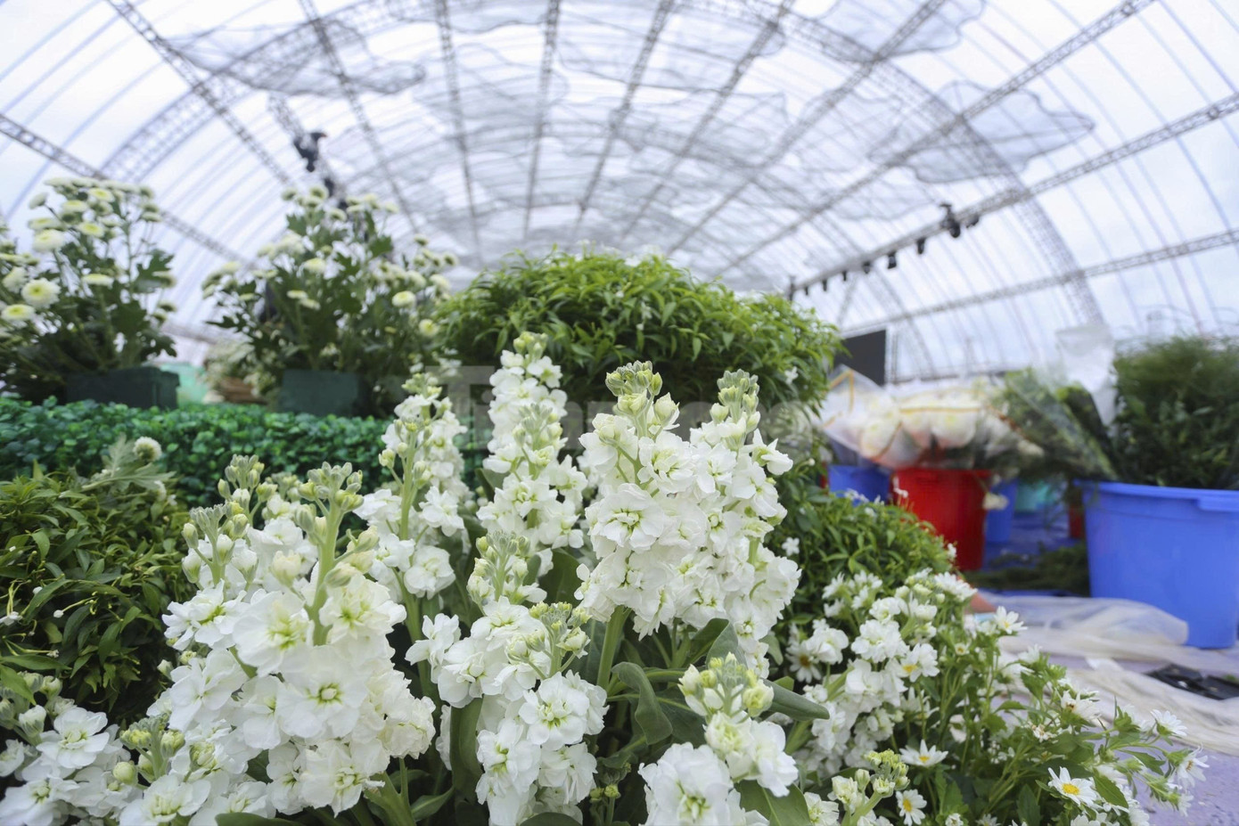 Bên trong rạp cưới mái vòm 3.000 m2 được nhà chồng Đỗ Thị Hà dựng bên bờ sông Nhật Lệ- Ảnh 14. Bên trong rạp cưới mái vòm 3.000 m2 được nhà chồng Đỗ Thị Hà dựng bên bờ sông Nhật Lệ- Ảnh 14.