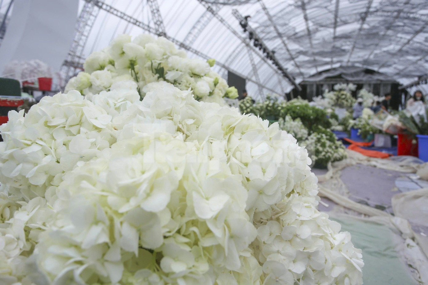 Bên trong rạp cưới mái vòm 3.000 m2 được nhà chồng Đỗ Thị Hà dựng bên bờ sông Nhật Lệ- Ảnh 16. Bên trong rạp cưới mái vòm 3.000 m2 được nhà chồng Đỗ Thị Hà dựng bên bờ sông Nhật Lệ- Ảnh 16.