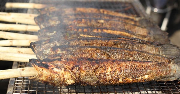 2 loại cá siêu tàn phá mô gan, gây ung thư bậc nhất: Đến dân buôn cũng ngại ăn- Ảnh 2. 2 loại cá siêu tàn phá mô gan, gây ung thư bậc nhất: Đến dân buôn cũng ngại ăn- Ảnh 2.