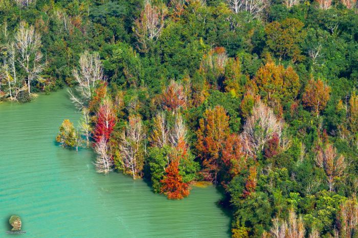 Không phải Hàn Quốc, Nhật Bản, đây là rừng phong ở Việt Nam: Du khách nhận xét Không phải Hàn Quốc, Nhật Bản, đây là rừng phong ở Việt Nam: Du khách nhận xét