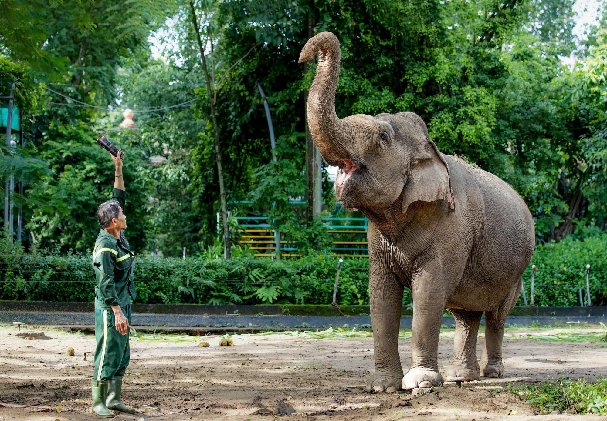 Hành trình từ nợ thuế hơn 800 tỷ đến có lãi của doanh nghiệp sở hữu 17 ha đất vàng giữa phường Sài Gòn- Ảnh 5.