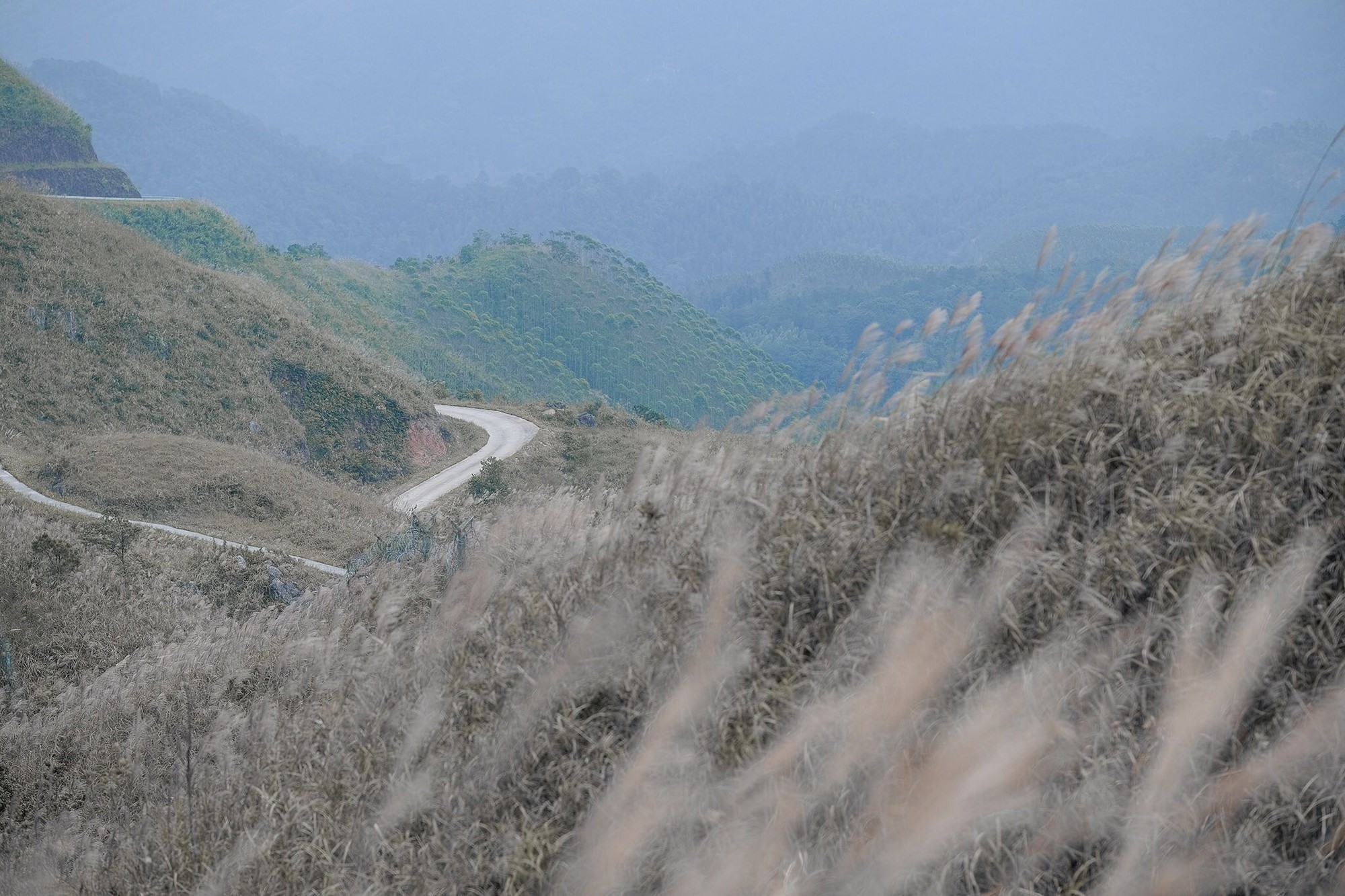 Ngoài biển, Quảng Ninh còn có 1 vùng núi nhiều người chưa biết: Đang vào mùa đẹp nhất, cảnh như phim- Ảnh 8.