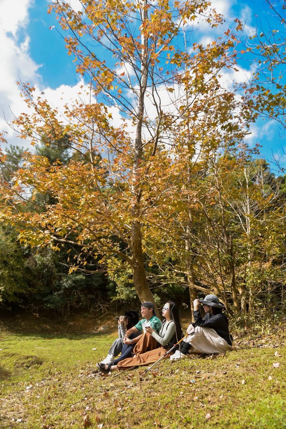 Không phải Hàn Quốc, Nhật Bản, đây là rừng phong ở Việt Nam: Du khách nhận xét Không phải Hàn Quốc, Nhật Bản, đây là rừng phong ở Việt Nam: Du khách nhận xét