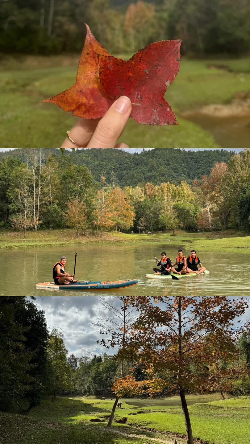 Không phải Hàn Quốc, Nhật Bản, đây là rừng phong ở Việt Nam: Du khách nhận xét Không phải Hàn Quốc, Nhật Bản, đây là rừng phong ở Việt Nam: Du khách nhận xét