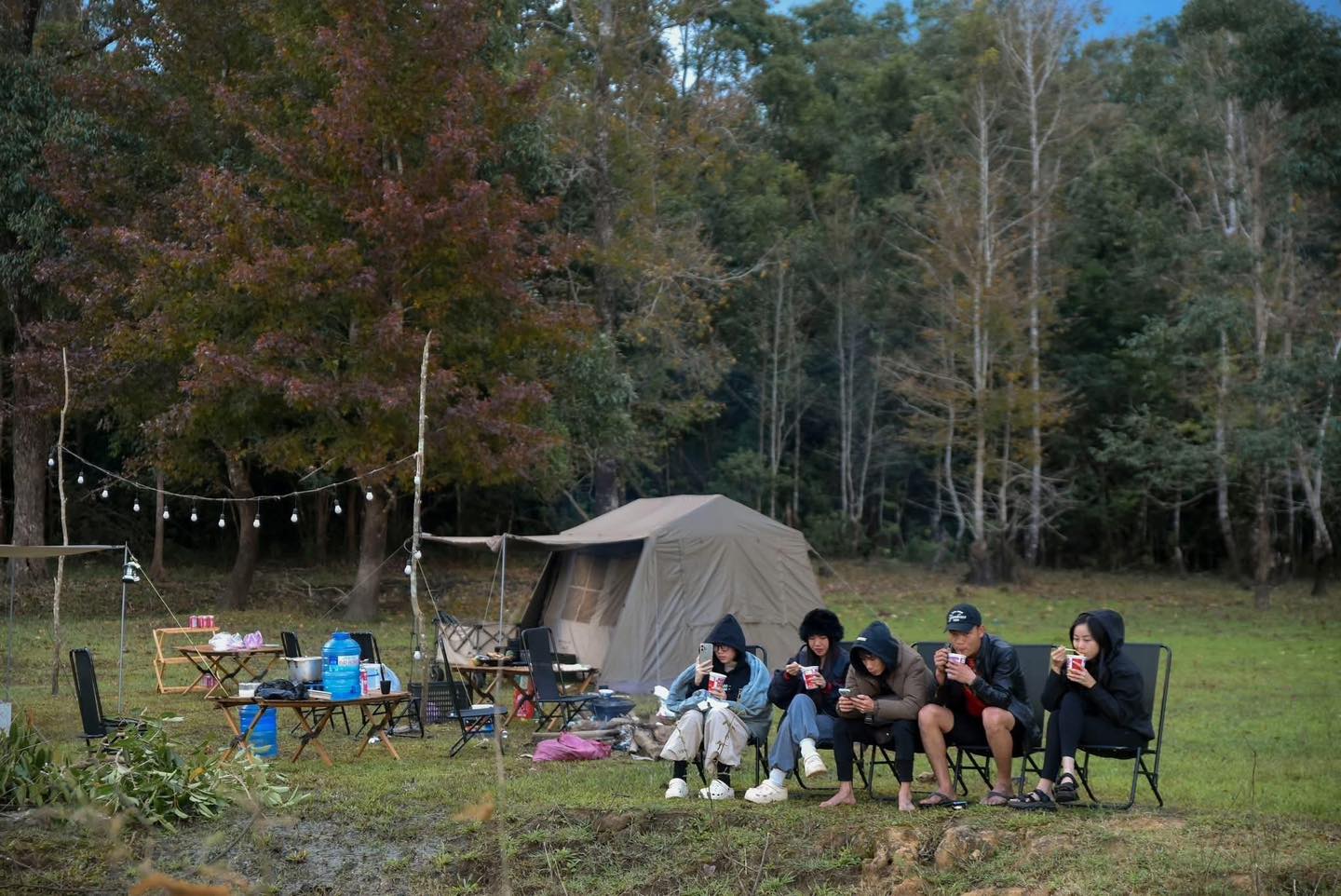 Không phải Hàn Quốc, Nhật Bản, đây là rừng phong ở Việt Nam: Du khách nhận xét Không phải Hàn Quốc, Nhật Bản, đây là rừng phong ở Việt Nam: Du khách nhận xét