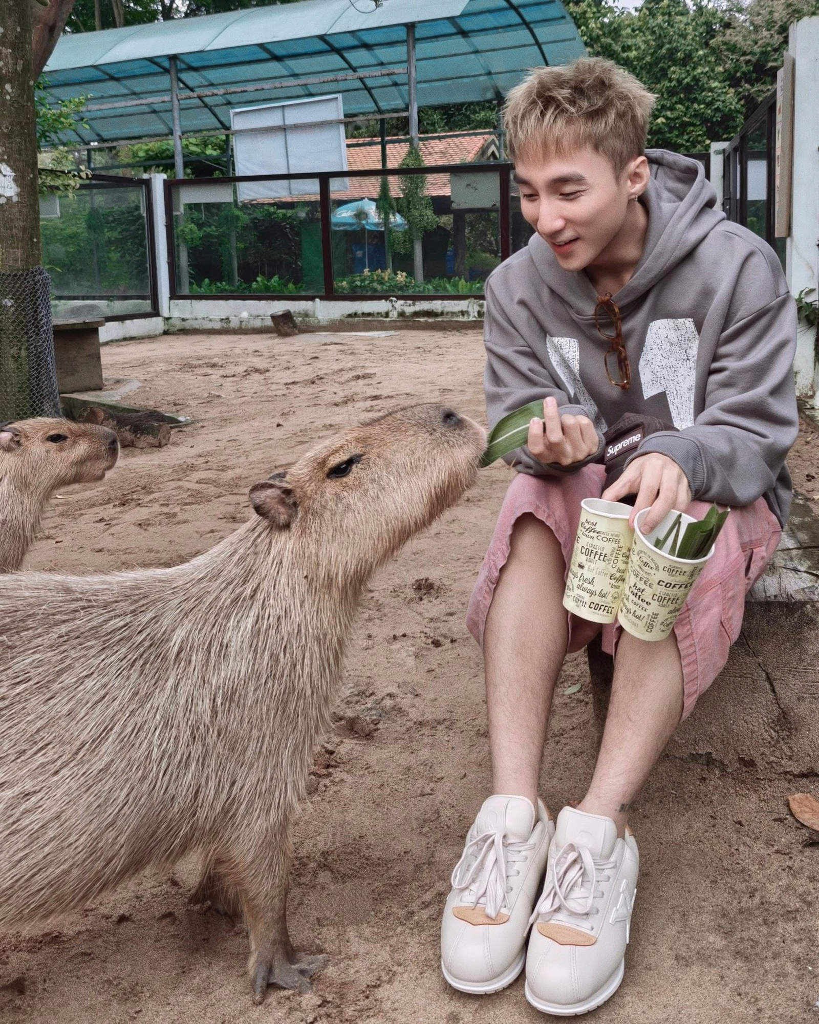 Hành trình từ nợ thuế hơn 800 tỷ đến có lãi của doanh nghiệp sở hữu 17 ha đất vàng giữa phường Sài Gòn- Ảnh 7.