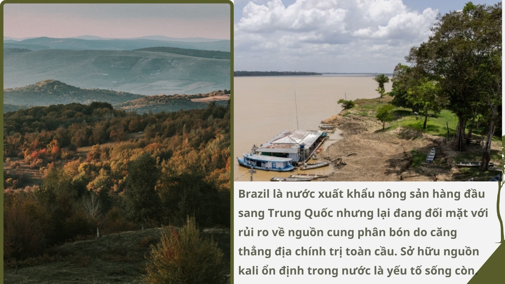Không phải vàng hay dầu, nền kinh tế trên 200 triệu dân săn lùng ‘kho báu’ trải dài 400 km sâu dưới rừng nhằm dắt lưng 'vũ khí' giữa thương chiến, Trung Quốc ngỏ ý tham gia- Ảnh 6. Không phải vàng hay dầu, nền kinh tế trên 200 triệu dân săn lùng ‘kho báu’ trải dài 400 km sâu dưới rừng nhằm dắt lưng 'vũ khí' giữa thương chiến, Trung Quốc ngỏ ý tham gia- Ảnh 6.