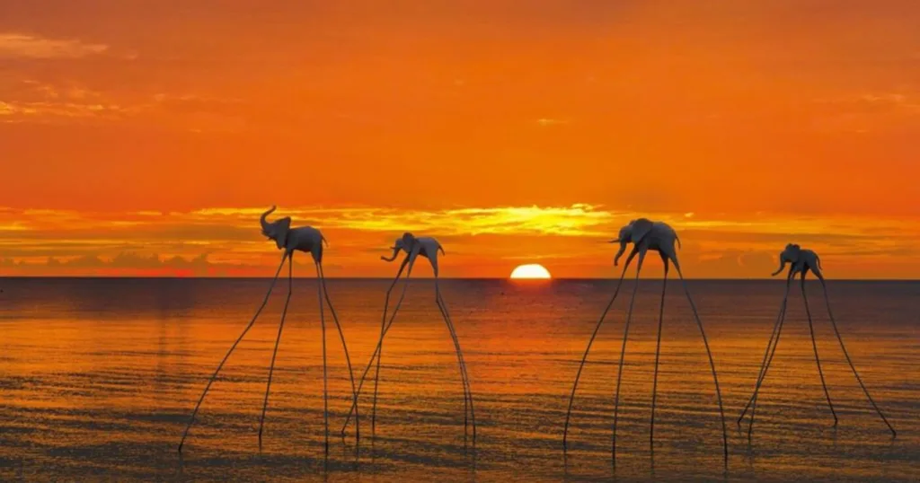 Bãi biển vào dạng hiếm ở Việt Nam, được vinh danh