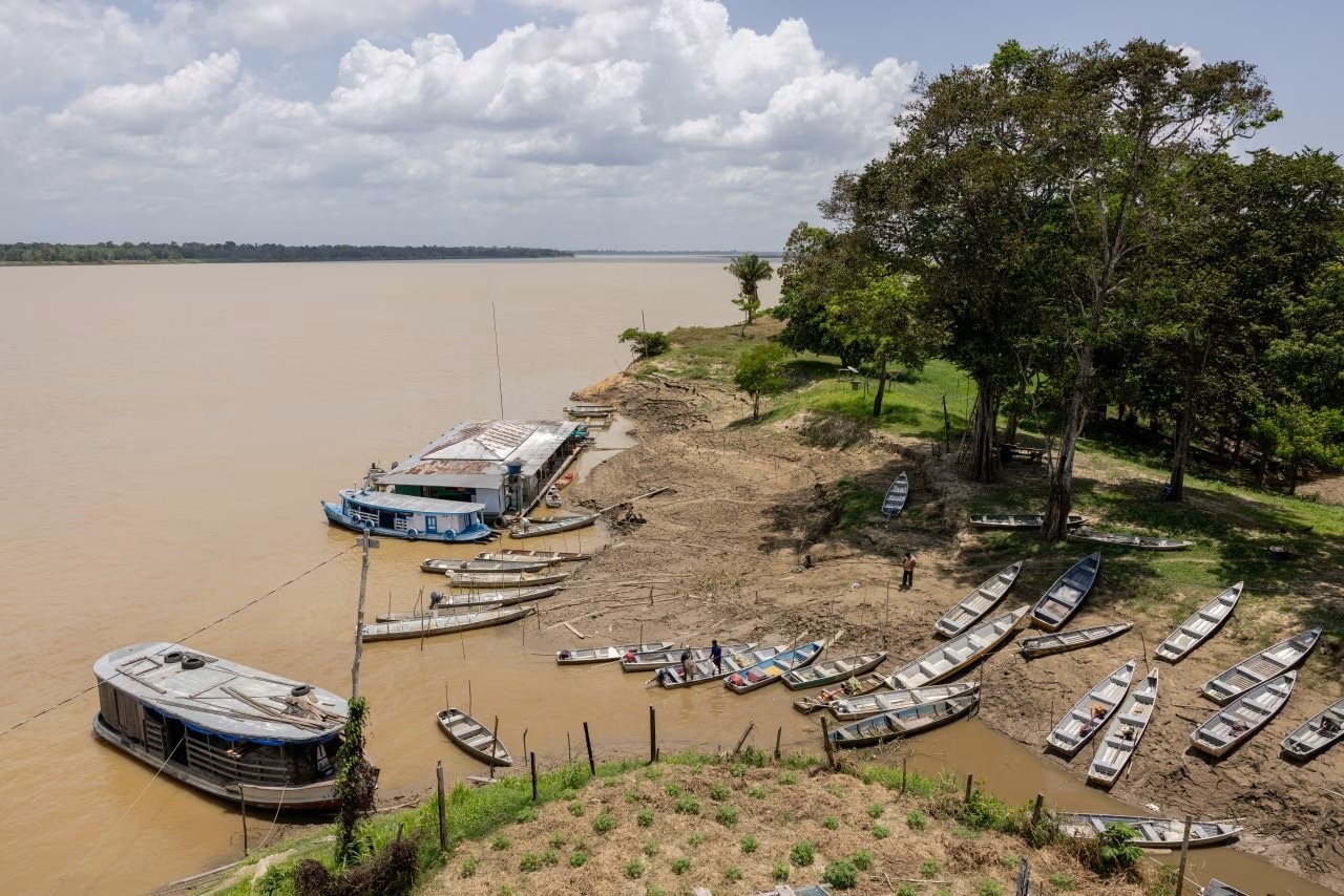 Không phải vàng hay dầu, nền kinh tế trên 200 triệu dân săn lùng ‘kho báu’ trải dài 400 km sâu dưới rừng nhằm dắt lưng 'vũ khí' giữa thương chiến, Trung Quốc ngỏ ý tham gia- Ảnh 1. Không phải vàng hay dầu, nền kinh tế trên 200 triệu dân săn lùng ‘kho báu’ trải dài 400 km sâu dưới rừng nhằm dắt lưng 'vũ khí' giữa thương chiến, Trung Quốc ngỏ ý tham gia- Ảnh 1.