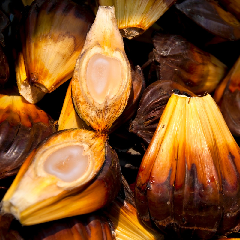 Loại quả mọc đầy ở Việt Nam khiến người Trung Quốc mê mẩn: Vừa mát vừa bổ, giới sành ăn cực “săn đón”- Ảnh 3.