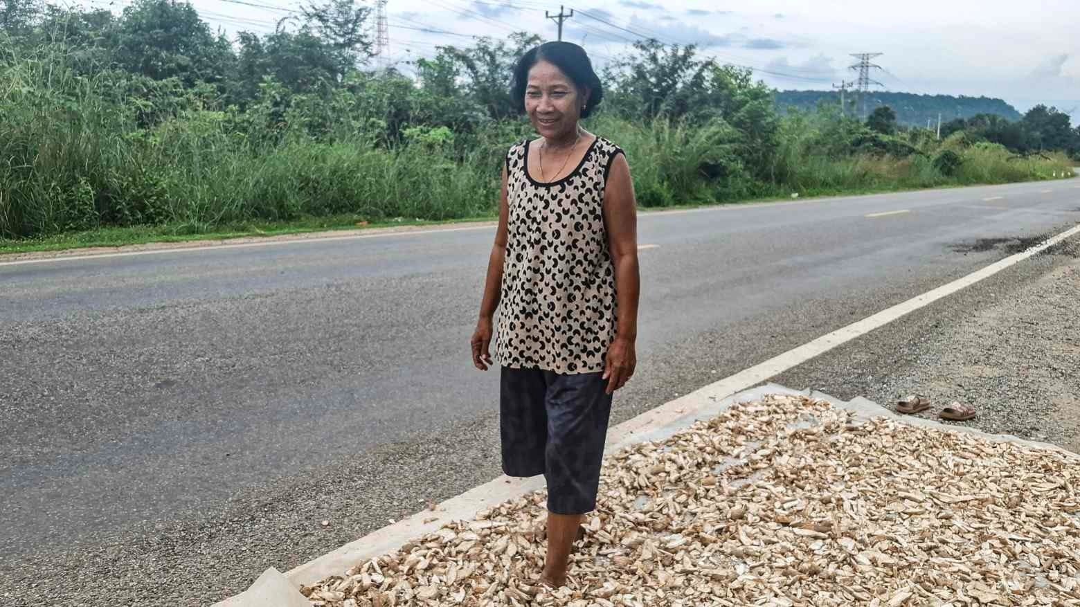 Buồn của nông dân Campuchia: Thái Lan ngừng mua hàng triệu tấn mặt hàng chủ chốt, giá rớt thảm xuống chỉ còn hơn 1.000 đồng/kg, cạnh tranh đã khó càng thêm khó- Ảnh 1.