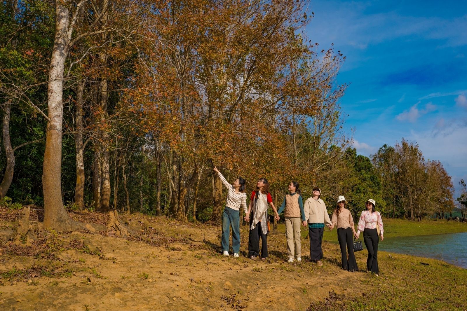 Không phải Hàn Quốc, Nhật Bản, đây là rừng phong ở Việt Nam: Du khách nhận xét Không phải Hàn Quốc, Nhật Bản, đây là rừng phong ở Việt Nam: Du khách nhận xét