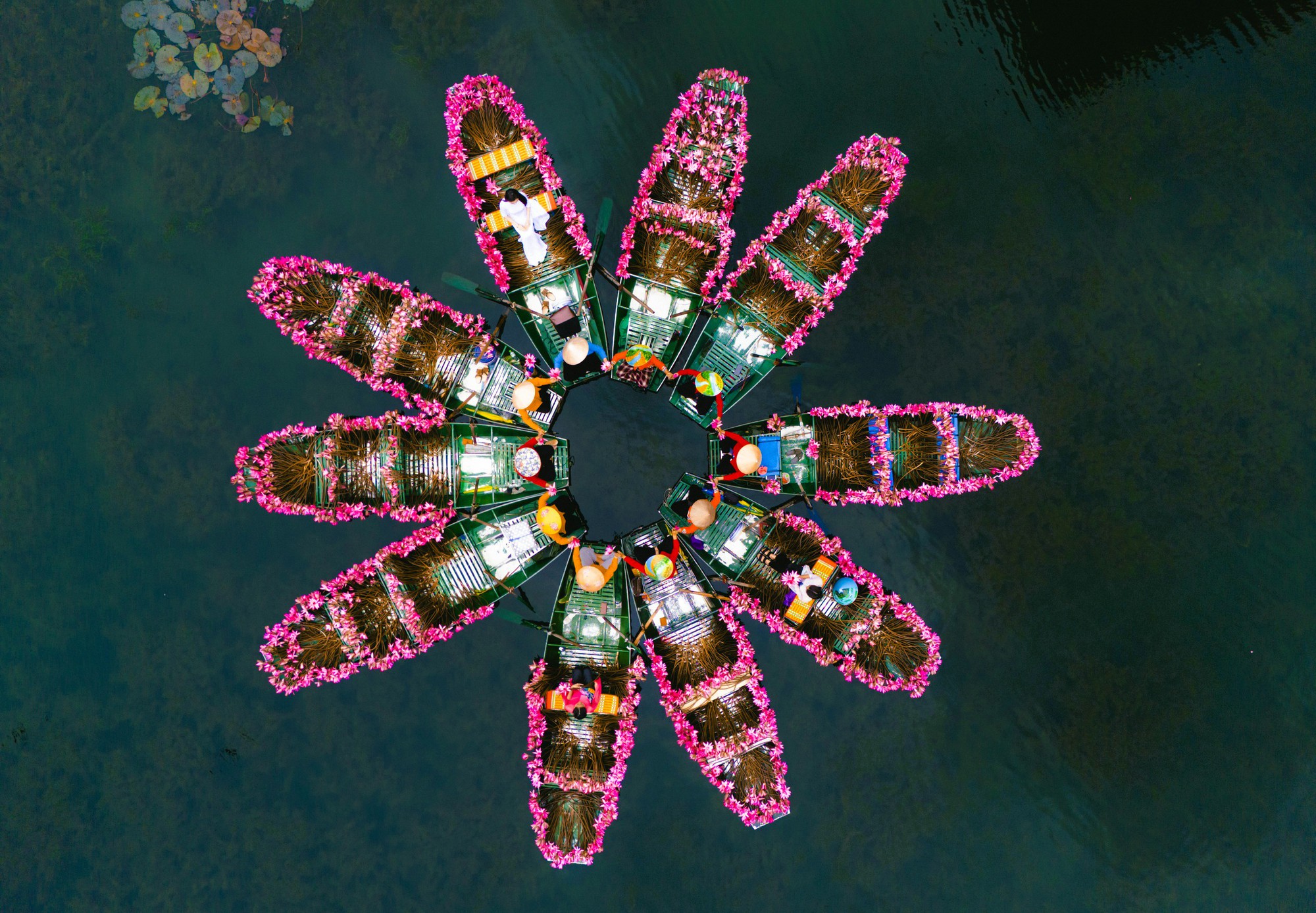 Tam Cốc ngọt lịm mùa hoa súng- Ảnh 10.