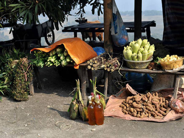 Miền Bắc có đèo được ví là Miền Bắc có đèo được ví là