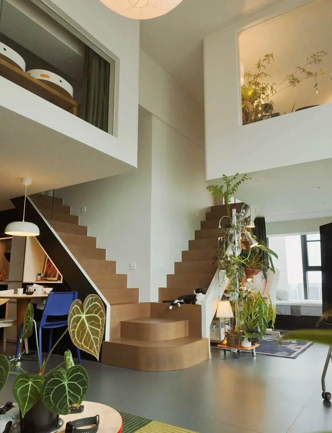 Đây là căn nhà nhiều đồ dùng nhưng gọn nhất mà tôi từng thấy- Ảnh 4.