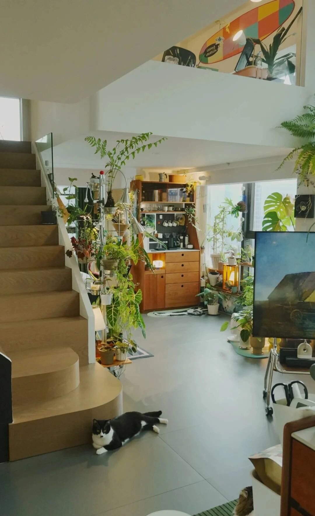 Đây là căn nhà nhiều đồ dùng nhưng gọn nhất mà tôi từng thấy- Ảnh 7.