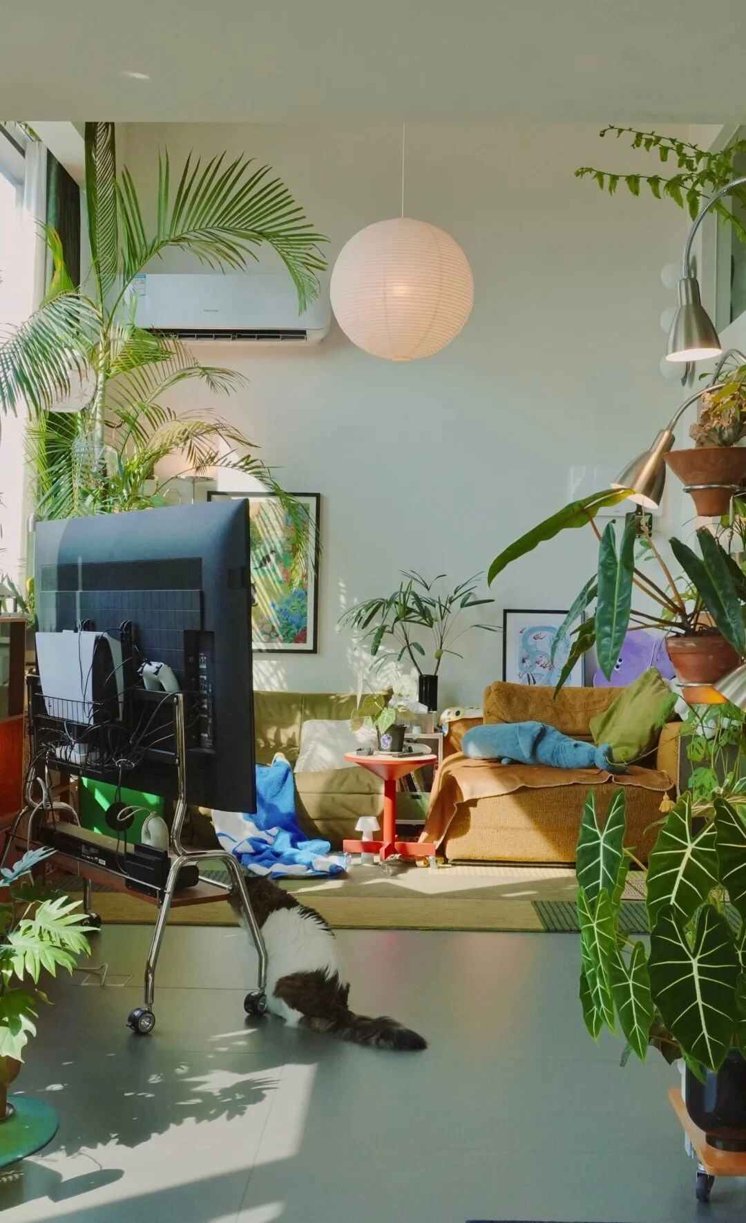 Đây là căn nhà nhiều đồ dùng nhưng gọn nhất mà tôi từng thấy- Ảnh 12.