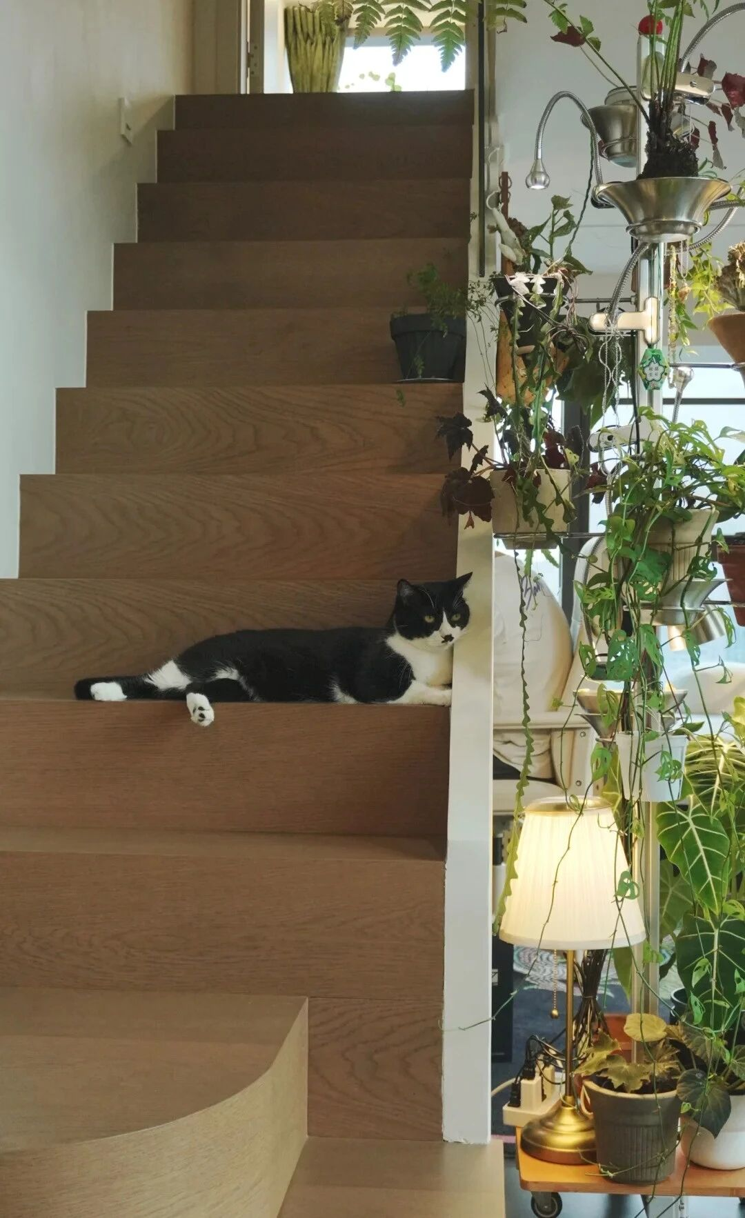 Đây là căn nhà nhiều đồ dùng nhưng gọn nhất mà tôi từng thấy- Ảnh 10.