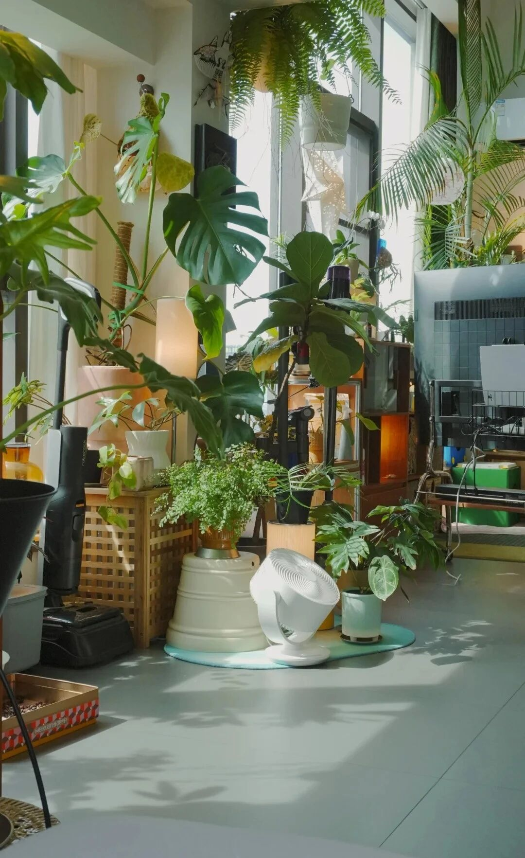 Đây là căn nhà nhiều đồ dùng nhưng gọn nhất mà tôi từng thấy- Ảnh 9.