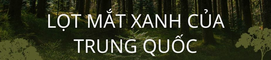 Không phải vàng hay dầu, nền kinh tế trên 200 triệu dân săn lùng ‘kho báu’ trải dài 400 km sâu dưới rừng nhằm dắt lưng 'vũ khí' giữa thương chiến, Trung Quốc ngỏ ý tham gia- Ảnh 5. Không phải vàng hay dầu, nền kinh tế trên 200 triệu dân săn lùng ‘kho báu’ trải dài 400 km sâu dưới rừng nhằm dắt lưng 'vũ khí' giữa thương chiến, Trung Quốc ngỏ ý tham gia- Ảnh 5.