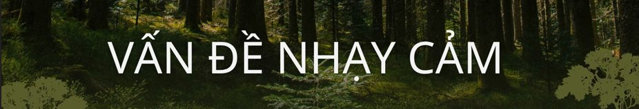 Không phải vàng hay dầu, nền kinh tế trên 200 triệu dân săn lùng ‘kho báu’ trải dài 400 km sâu dưới rừng nhằm dắt lưng 'vũ khí' giữa thương chiến, Trung Quốc ngỏ ý tham gia- Ảnh 7. Không phải vàng hay dầu, nền kinh tế trên 200 triệu dân săn lùng ‘kho báu’ trải dài 400 km sâu dưới rừng nhằm dắt lưng 'vũ khí' giữa thương chiến, Trung Quốc ngỏ ý tham gia- Ảnh 7.