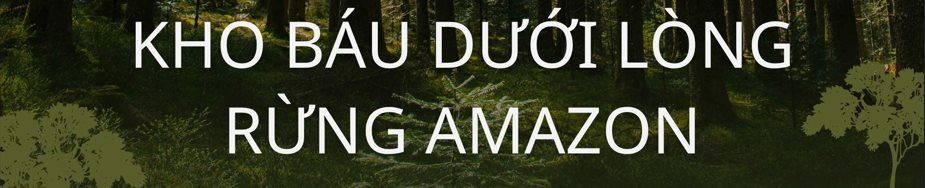 Không phải vàng hay dầu, nền kinh tế trên 200 triệu dân săn lùng ‘kho báu’ trải dài 400 km sâu dưới rừng nhằm dắt lưng 'vũ khí' giữa thương chiến, Trung Quốc ngỏ ý tham gia- Ảnh 2. Không phải vàng hay dầu, nền kinh tế trên 200 triệu dân săn lùng ‘kho báu’ trải dài 400 km sâu dưới rừng nhằm dắt lưng 'vũ khí' giữa thương chiến, Trung Quốc ngỏ ý tham gia- Ảnh 2.