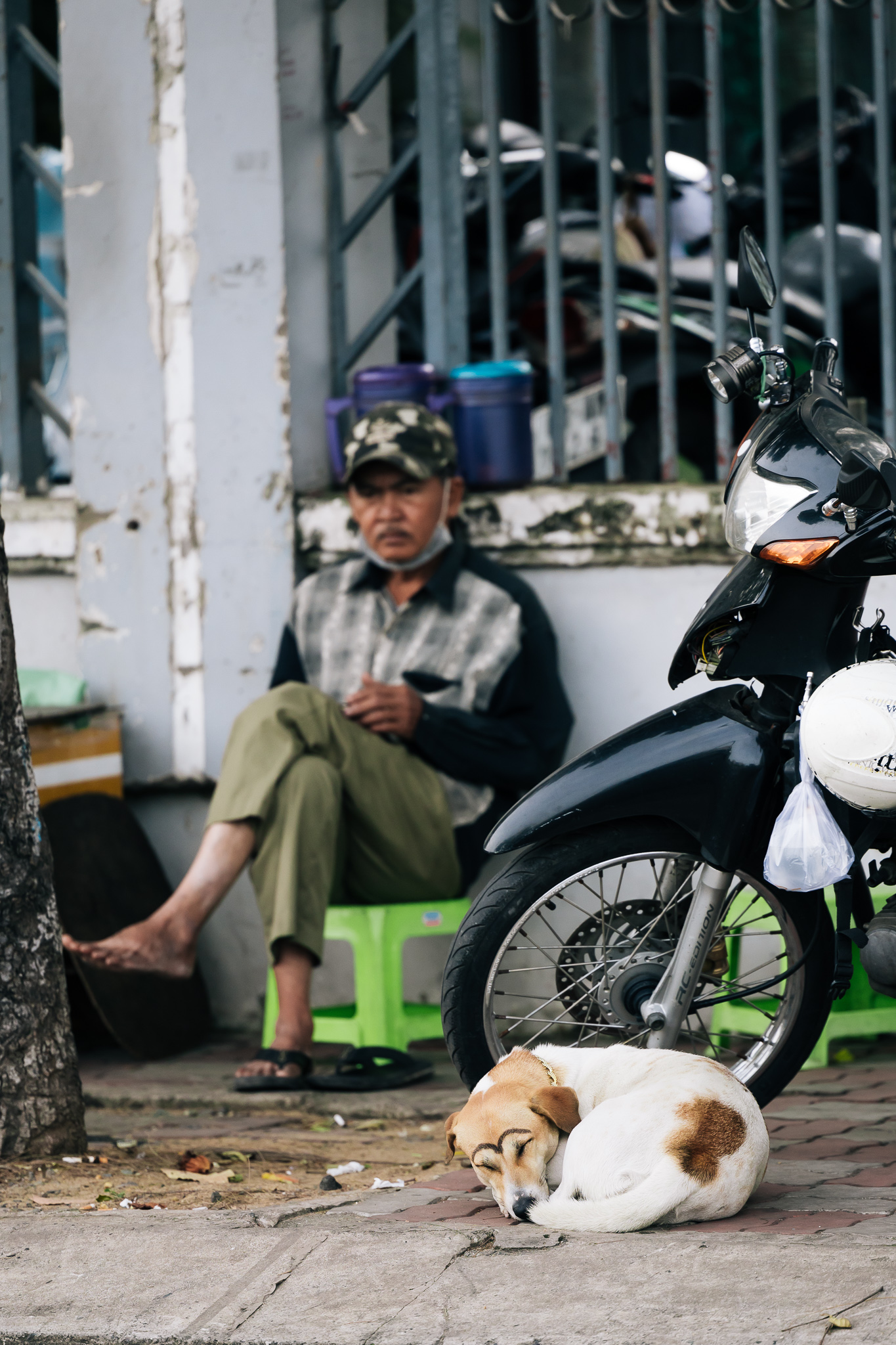 Chùm ảnh: TP.HCM trong ngày rét 19 độ C hiếm thấy- Ảnh 13.