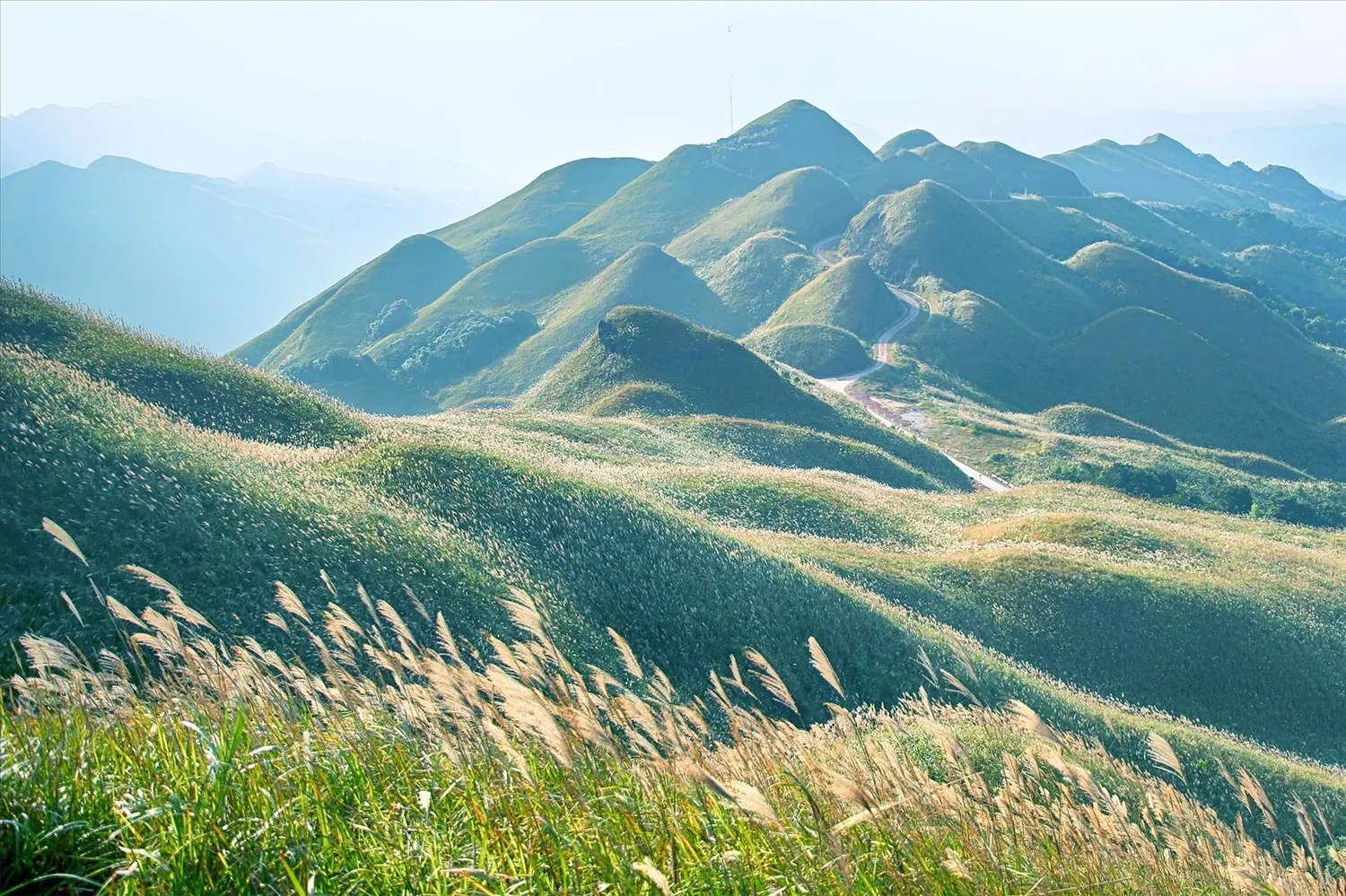 Ngoài biển, Quảng Ninh còn có 1 vùng núi nhiều người chưa biết: Đang vào mùa đẹp nhất, cảnh như phim- Ảnh 1.