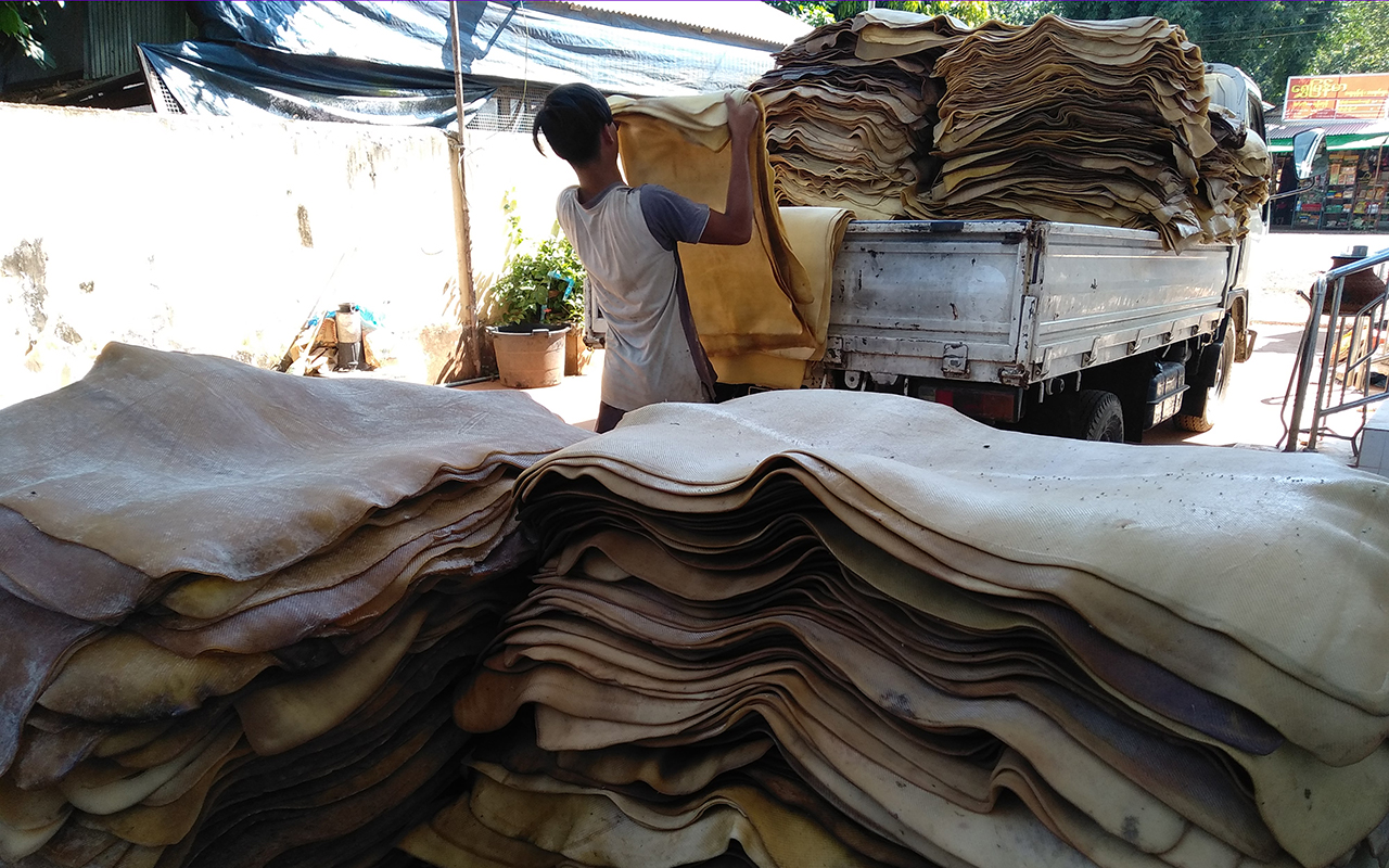 Hàng chục nghìn tấn 'vàng trắng' của Việt Nam được Indonesia tích cực săn lùng: diện tích trồng hơn 900.000 ha, nước ta là ông trùm top 5 thế giới- Ảnh 1.