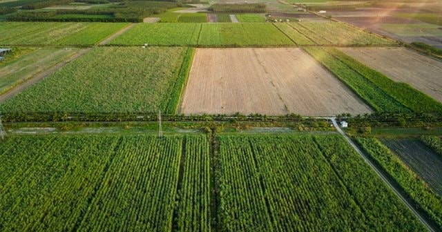 avatar1698914517682-169891451845-1764903338945-17649033393111624217952