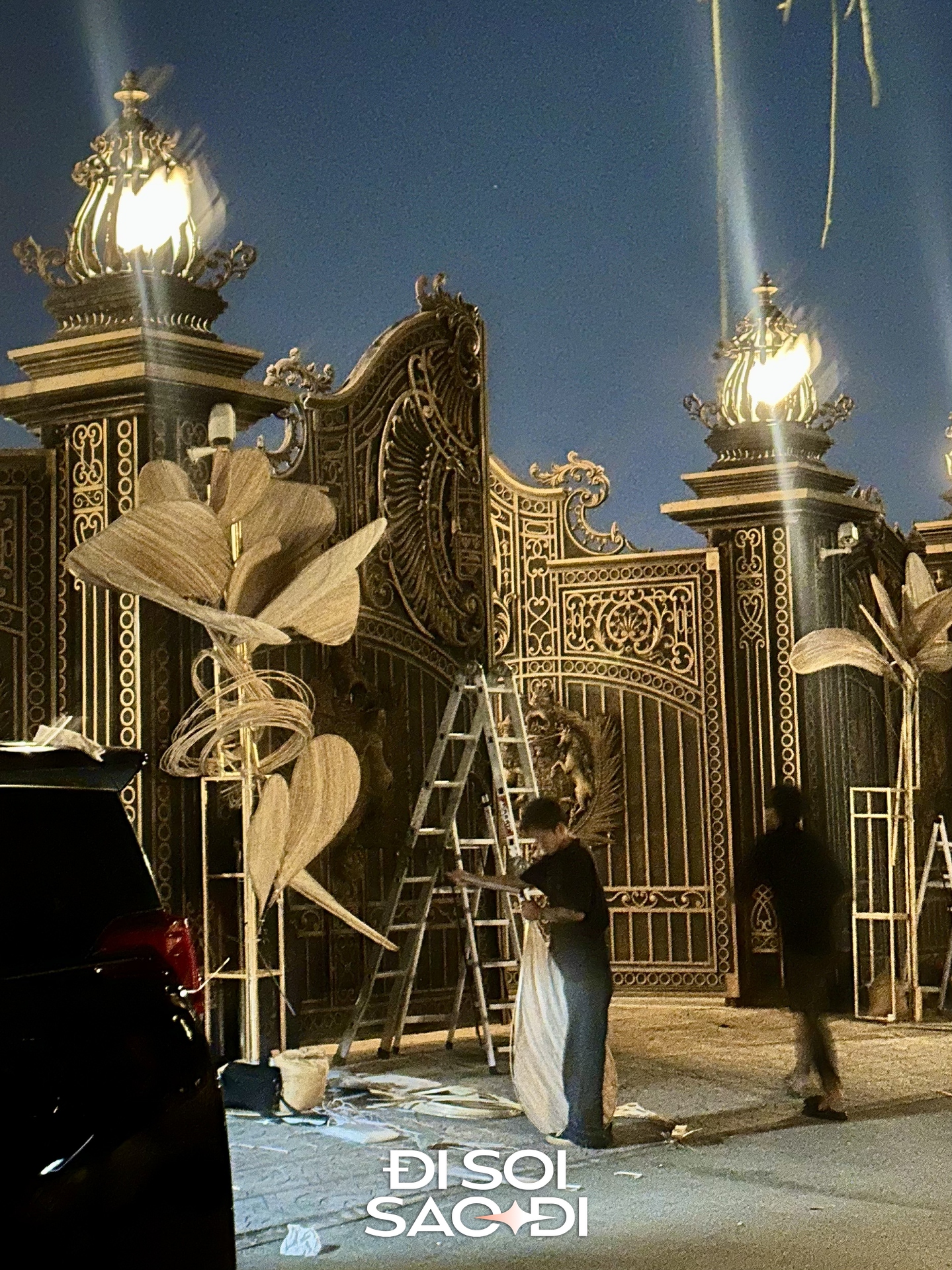 img95030003-1765068062411-17650680627351354302295