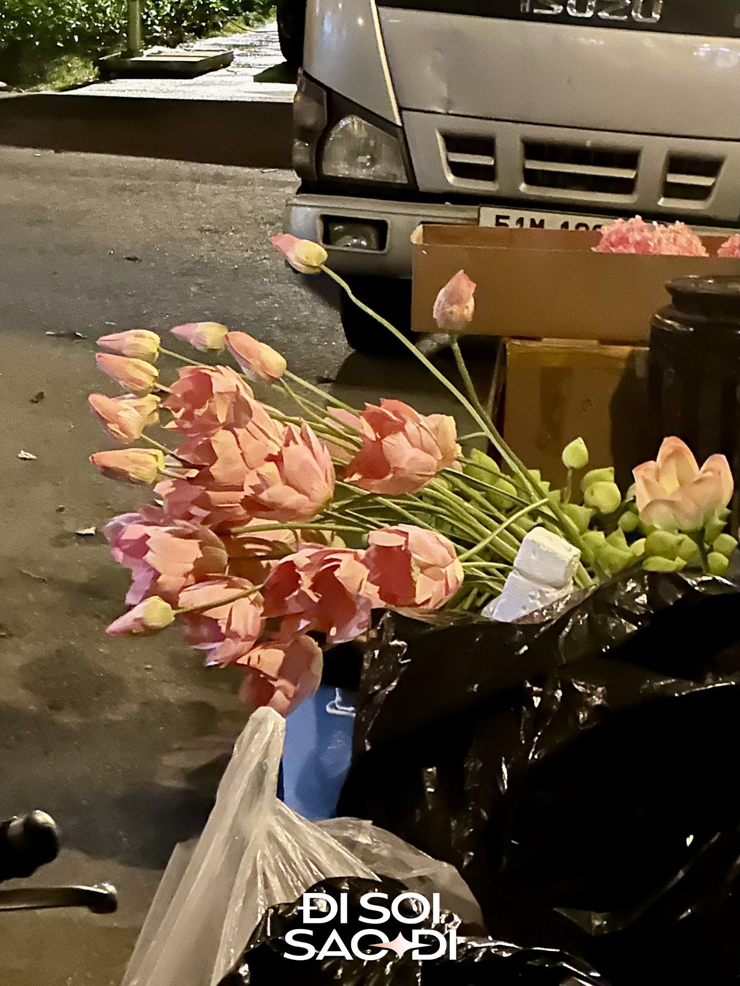 img95060005-1765068065850-17650680662541356795586