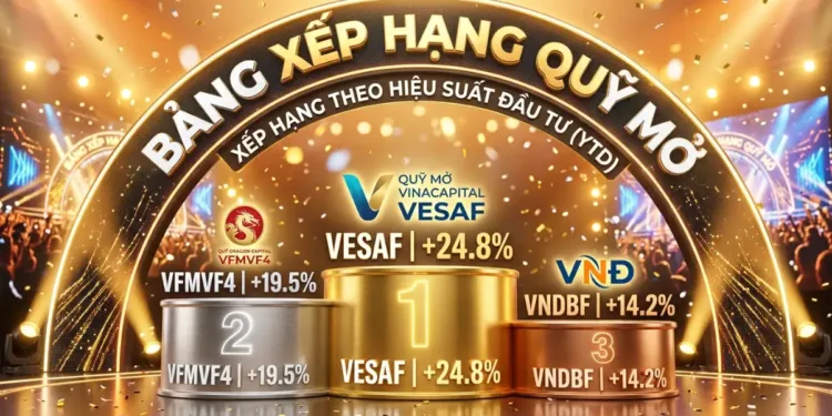 Bảng xếp hạng hiệu suất các quỹ mở Quỹ nào dẫn đầu lợi nhuận