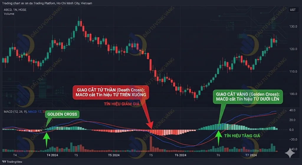 Đánh dấu các điểm Giao cắt Vàng (Golden Cross) và Giao cắt Tử thần (Death Cross) của MACD trên biểu đồ