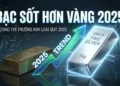 Đầu tư Bạc vật chất và phái sinh Tại sao Bạc lại sốt hơn Vàng năm 2025