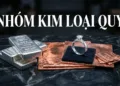 Nhóm Kim loại (Bạc, Đồng, Bạch kim)