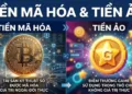 Phân biệt Tiền mã hóa (Cryptocurrency) và Tiền ảo Hiểu đúng để đầu tư