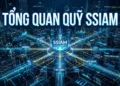 Tổng quan các quỹ đầu tư SSI (SSIAM) Lợi thế từ hệ sinh thái chứng khoán lớn nhất